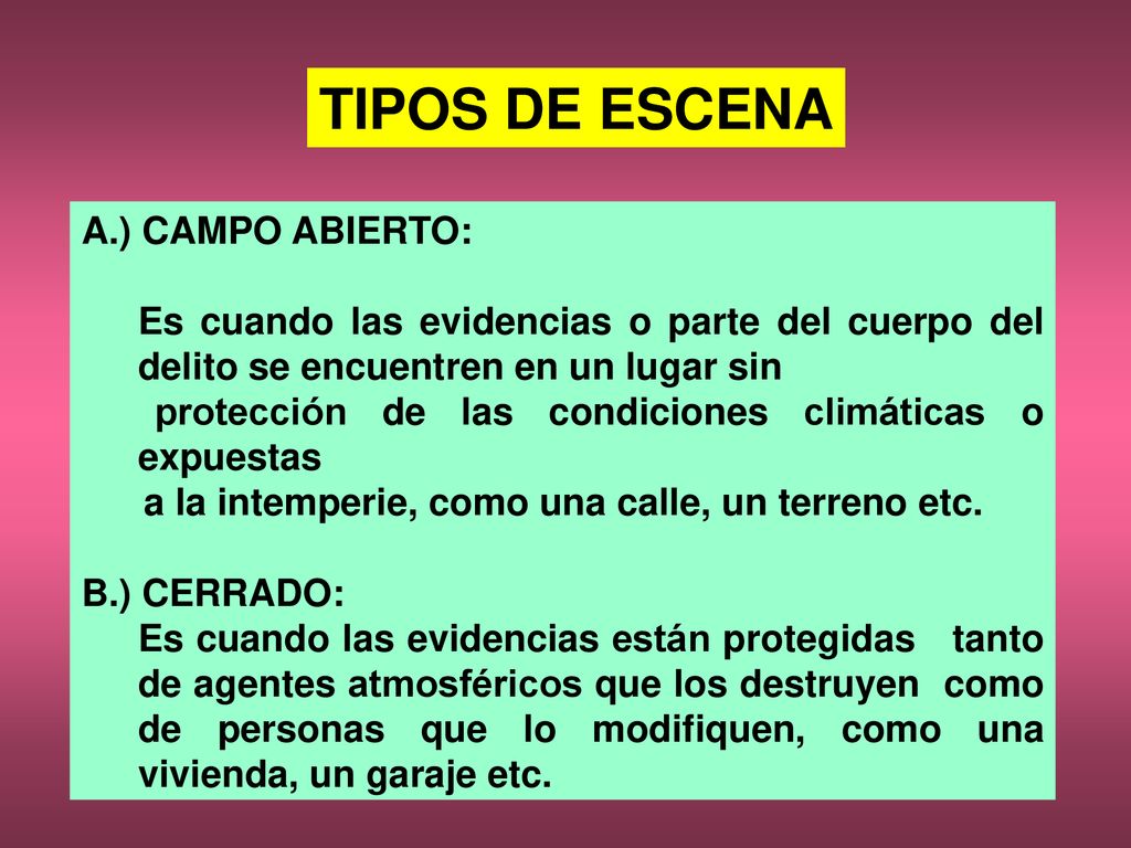 TIPOS DE ESCENA A.) CAMPO ABIERTO: