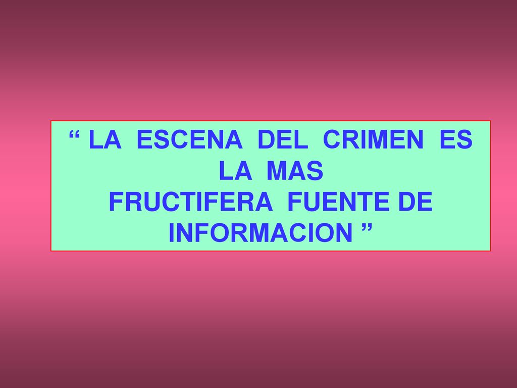 LA ESCENA DEL CRIMEN ES LA MAS FRUCTIFERA FUENTE DE INFORMACION
