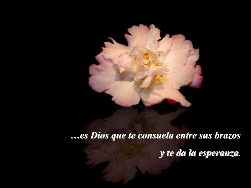 …es Dios que te consuela entre sus brazos y te da la esperanza.