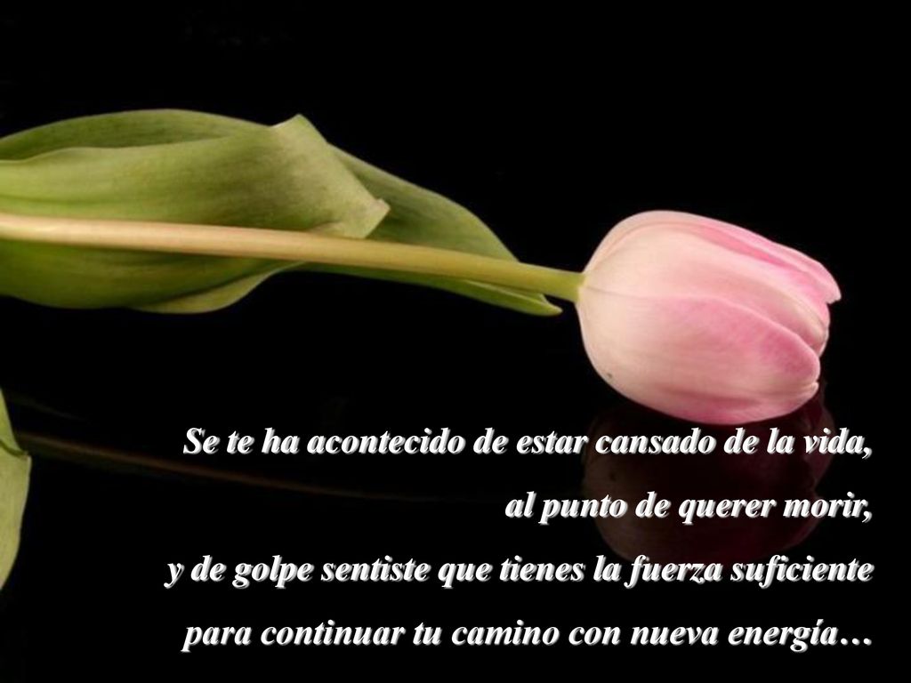 Se te ha acontecido de estar cansado de la vida,
