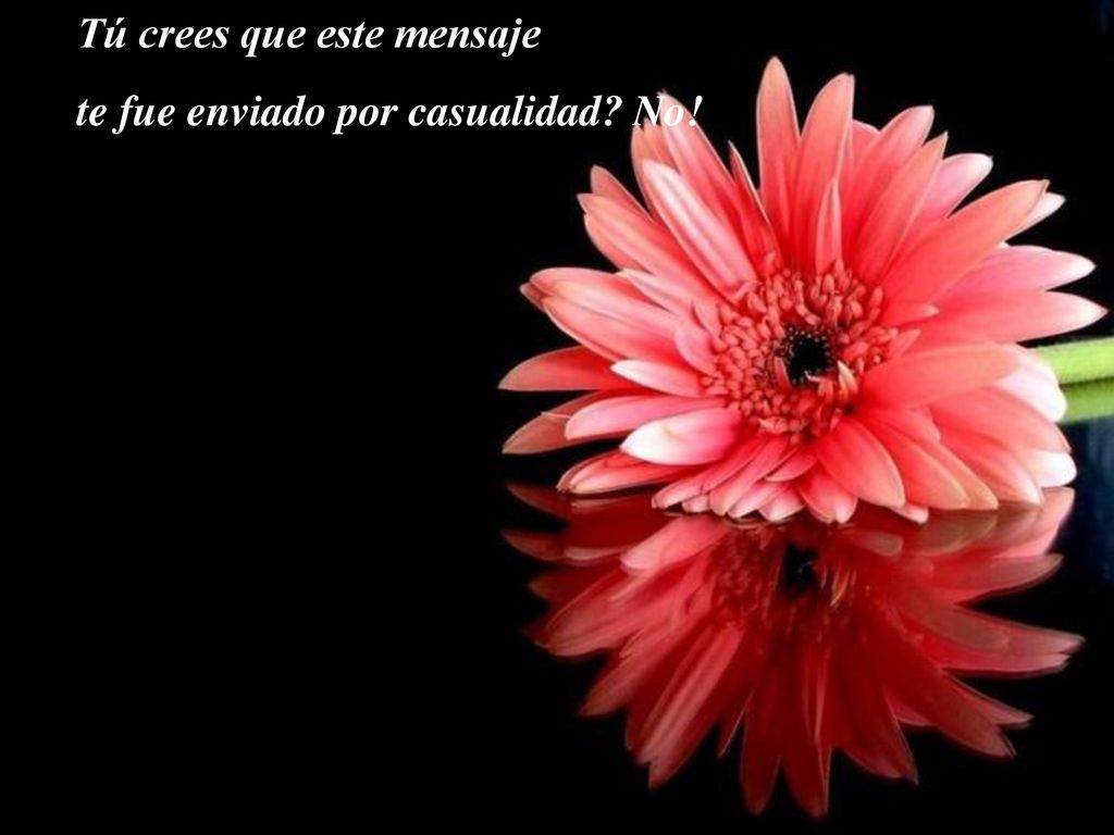 Tú crees que este mensaje te fue enviado por casualidad No!