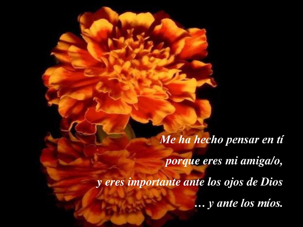 y eres importante ante los ojos de Dios … y ante los míos.