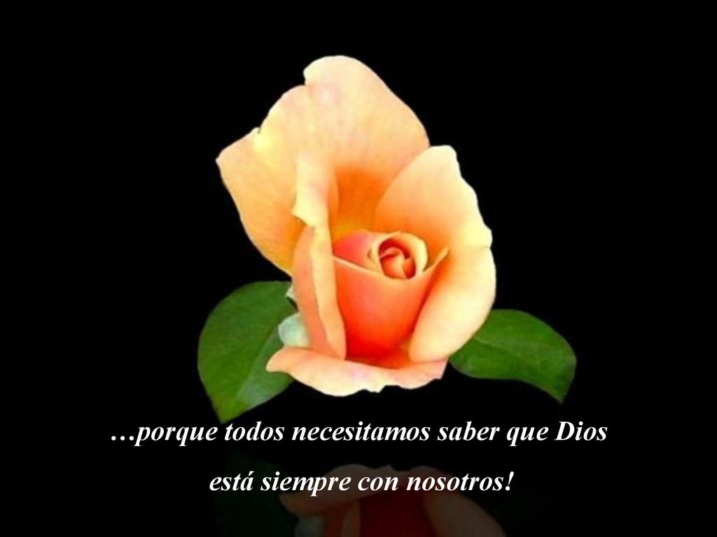 …porque todos necesitamos saber que Dios está siempre con nosotros!