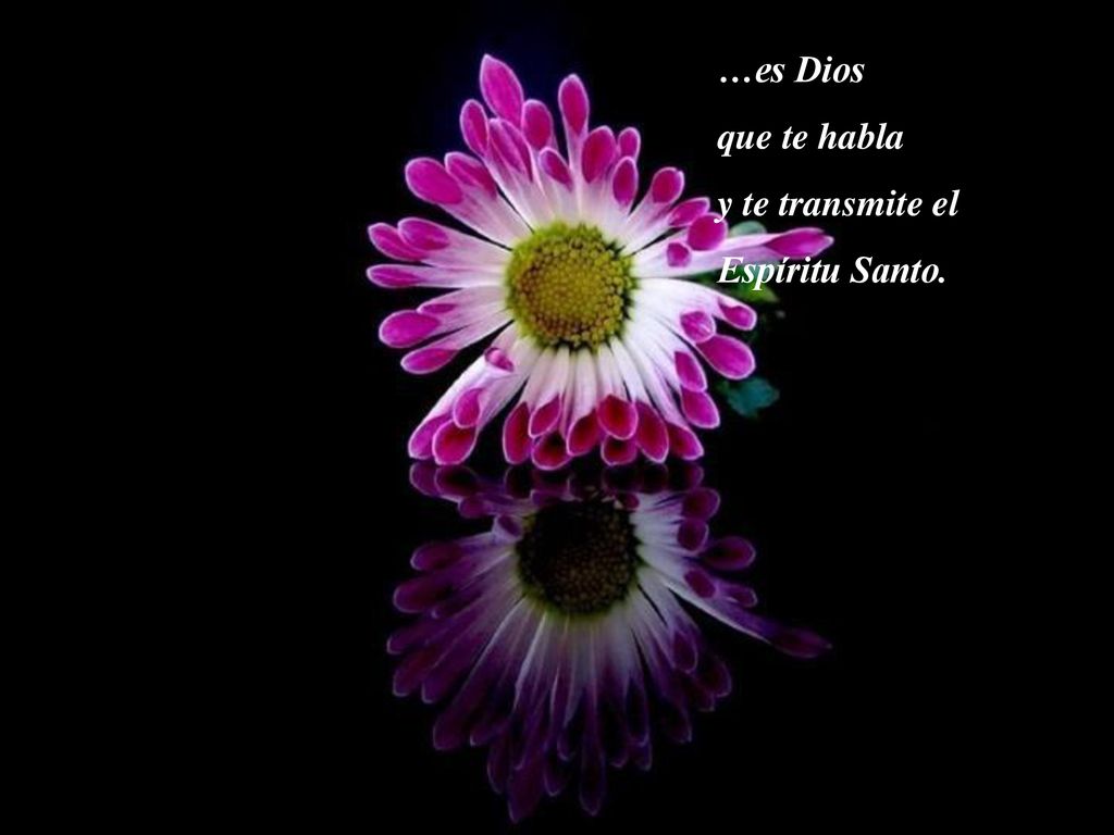 …es Dios que te habla y te transmite el Espíritu Santo.