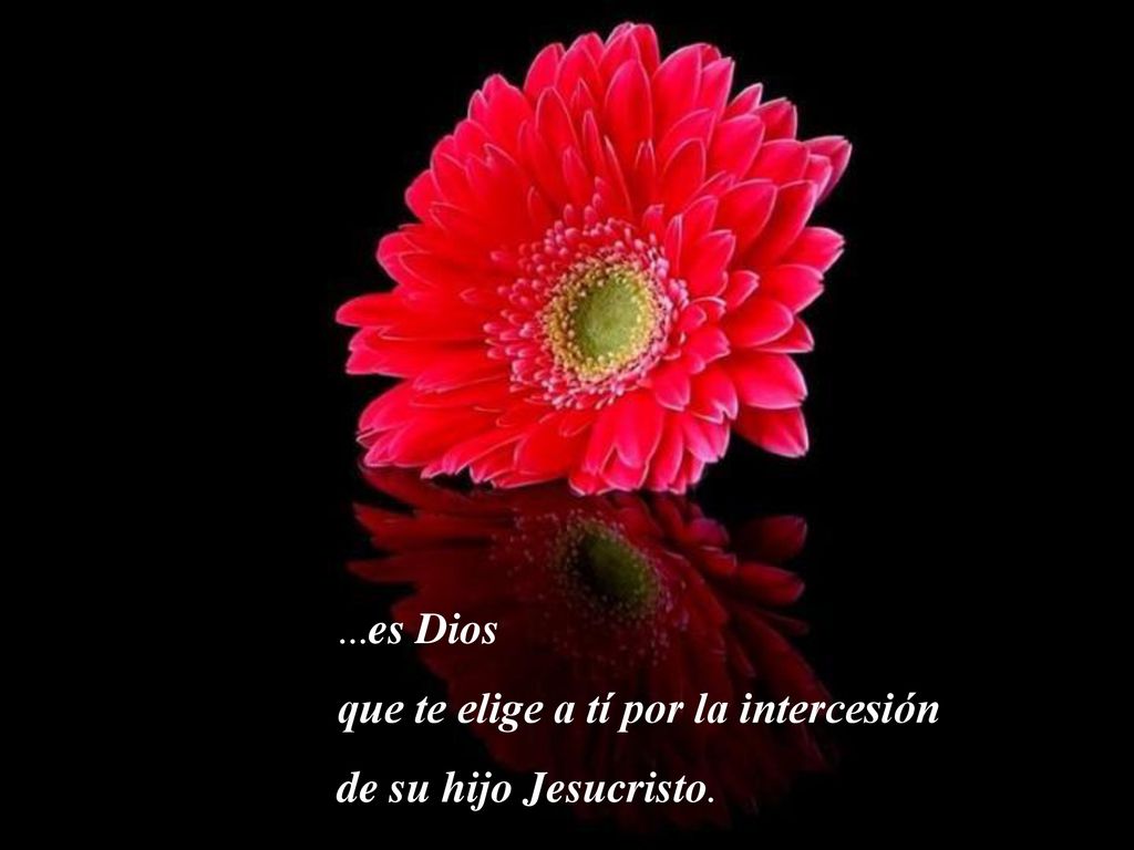 que te elige a tí por la intercesión de su hijo Jesucristo.