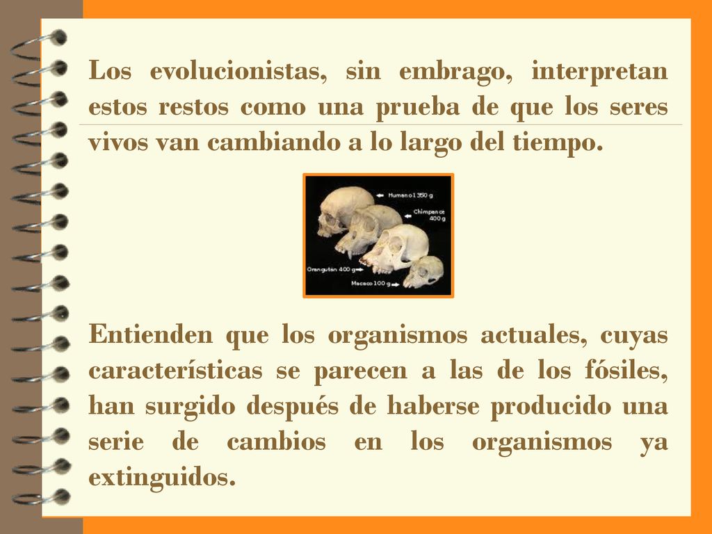 Los evolucionistas, sin embrago, interpretan estos restos como una prueba de que los seres vivos van cambiando a lo largo del tiempo.