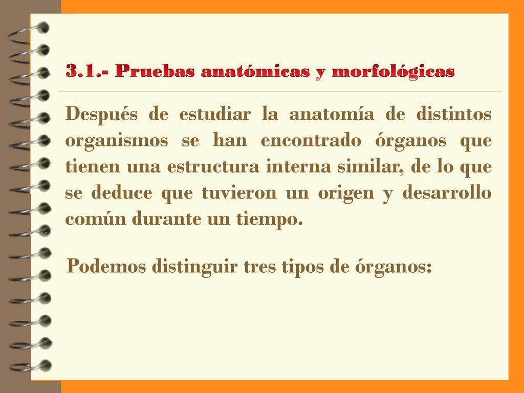 Podemos distinguir tres tipos de órganos:
