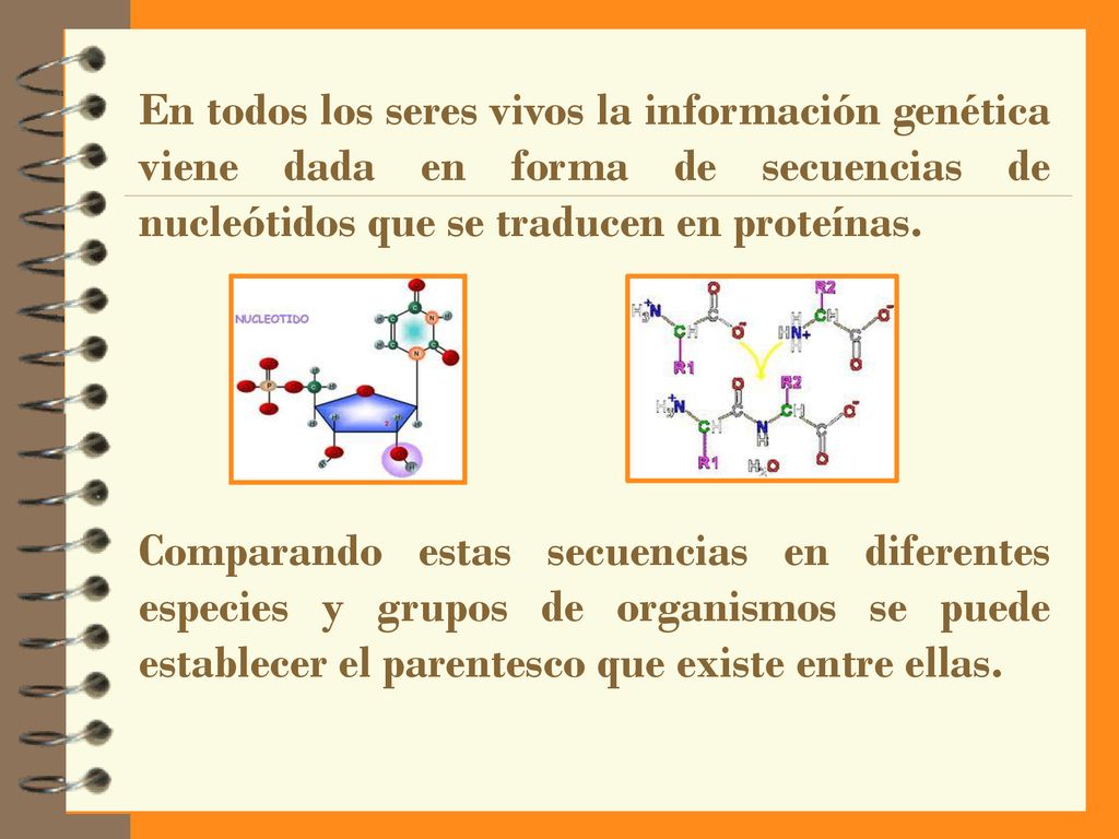 En todos los seres vivos la información genética viene dada en forma de secuencias de nucleótidos que se traducen en proteínas.