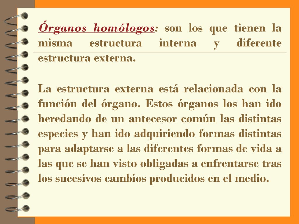 Órganos homólogos: son los que tienen la misma estructura interna y diferente estructura externa.