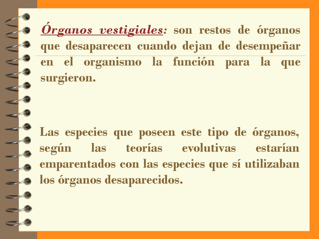 Órganos vestigiales: son restos de órganos que desaparecen cuando dejan de desempeñar en el organismo la función para la que surgieron.