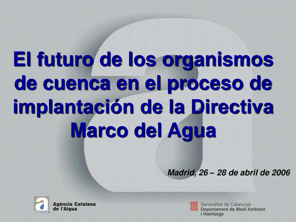 El futuro de los organismos de cuenca en el proceso de implantación de la Directiva Marco del Agua