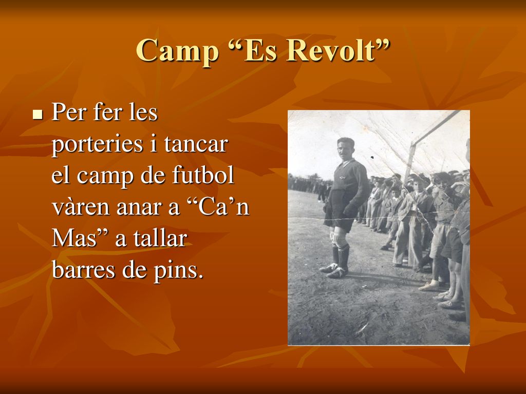 Camp Es Revolt Per fer les porteries i tancar el camp de futbol vàren anar a Ca’n Mas a tallar barres de pins.