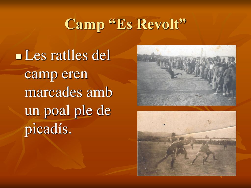 Camp Es Revolt Les ratlles del camp eren marcades amb un poal ple de picadís.