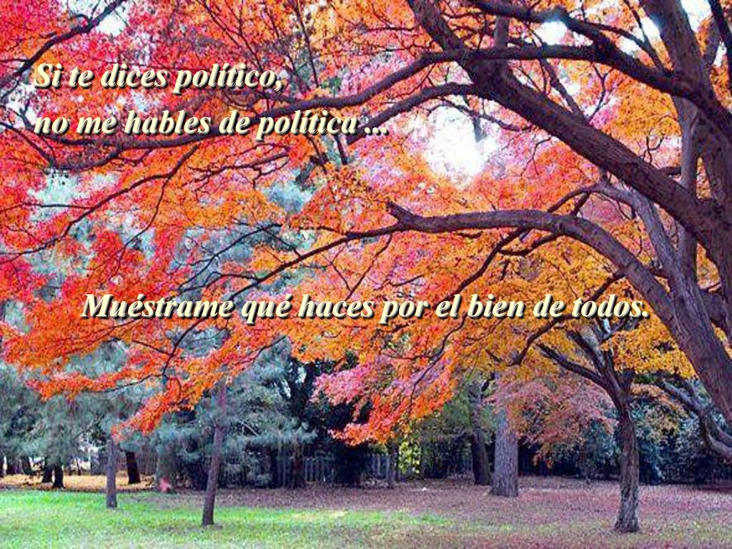 Si te dices político, no me hables de política ... Muéstrame qué haces por el bien de todos.