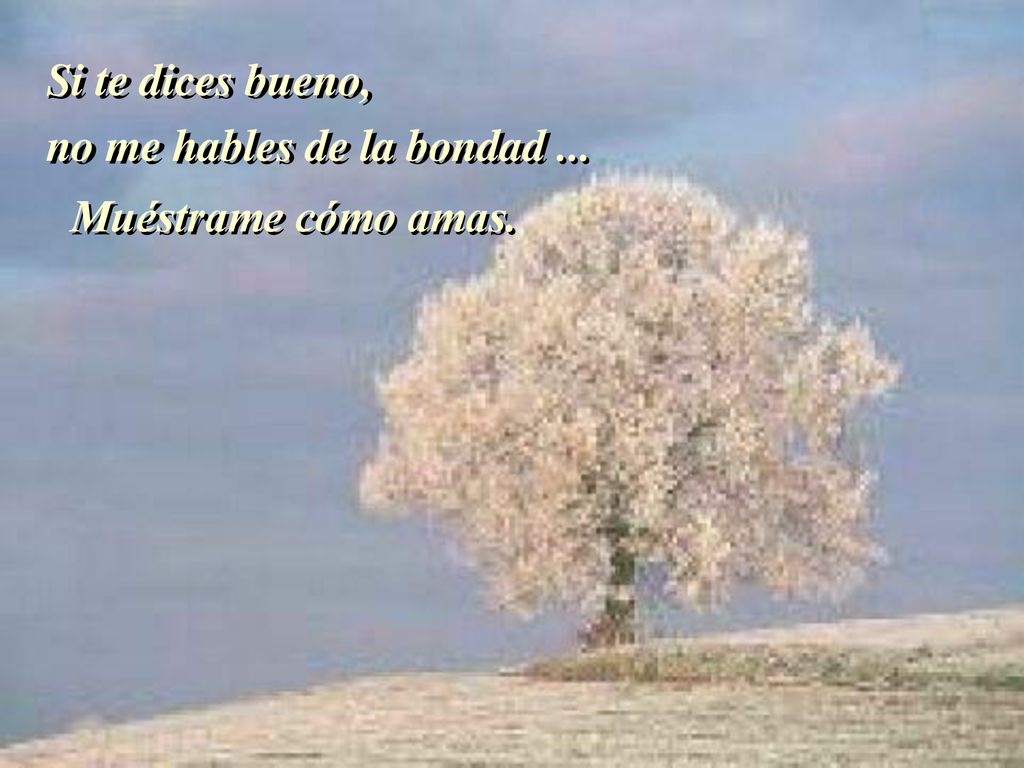 Si te dices bueno, no me hables de la bondad ... Muéstrame cómo amas.