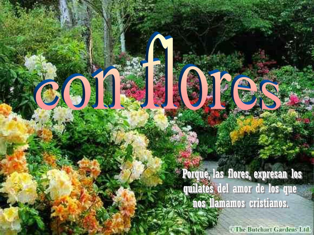 con flores Porque, las flores, expresan los quilates del amor de los que nos llamamos cristianos.