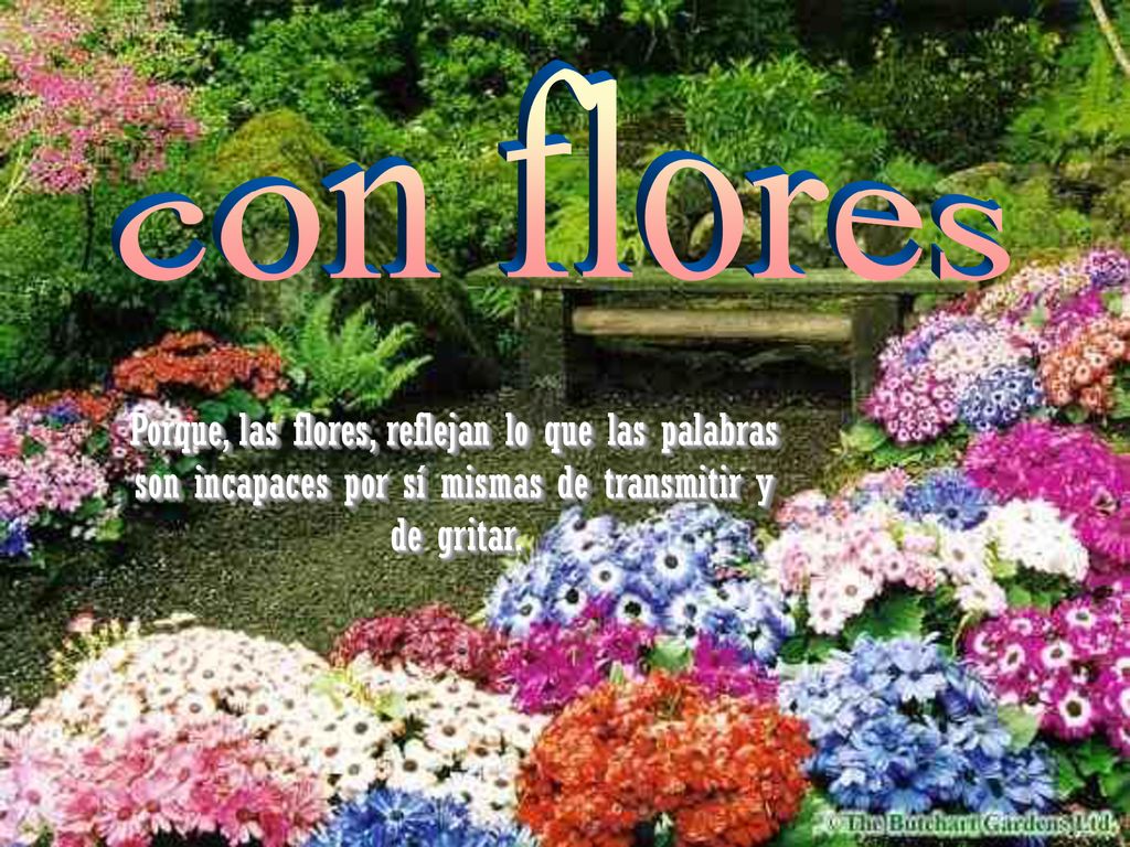 con flores Porque, las flores, reflejan lo que las palabras son incapaces por sí mismas de transmitir y de gritar.