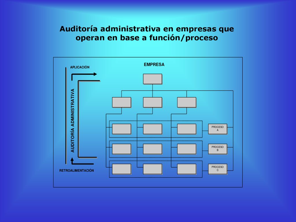 Auditoría administrativa en empresas que operan en base a función/proceso