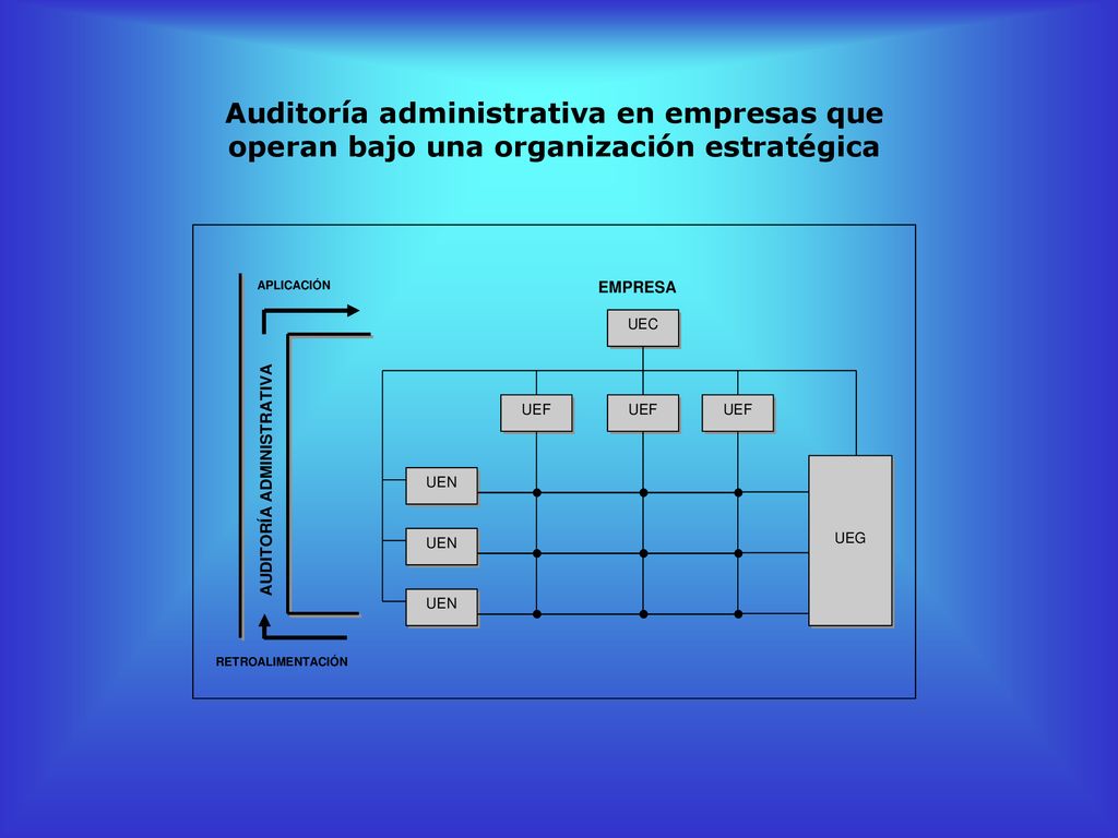 Auditoría administrativa en empresas que operan bajo una organización estratégica