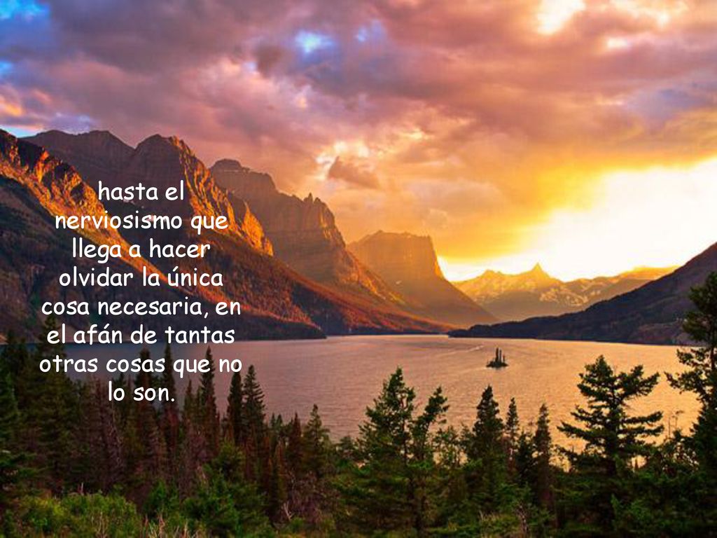 hasta el nerviosismo que llega a hacer olvidar la única cosa necesaria, en el afán de tantas otras cosas que no lo son.