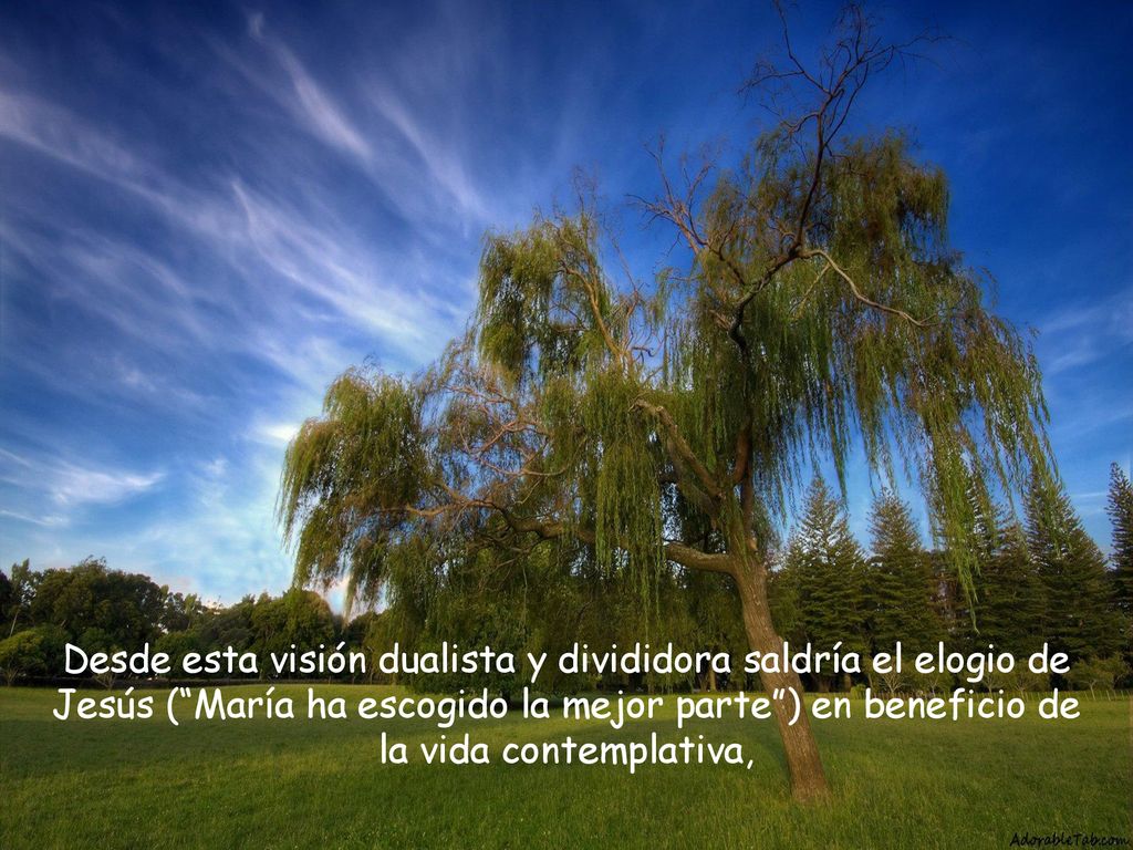 Desde esta visión dualista y divididora saldría el elogio de Jesús ( María ha escogido la mejor parte ) en beneficio de la vida contemplativa,