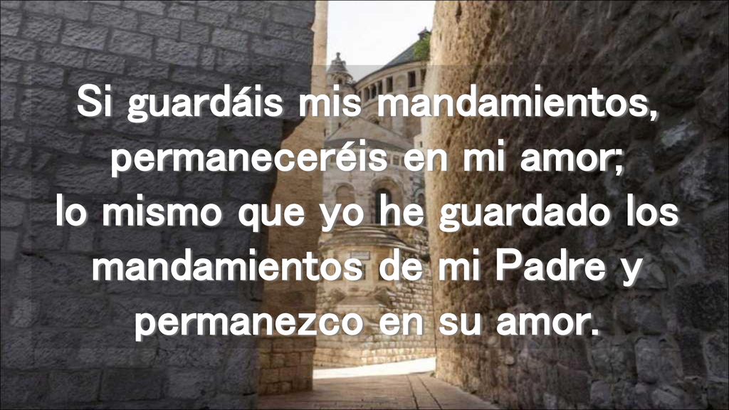 Si guardáis mis mandamientos, permaneceréis en mi amor; lo mismo que yo he guardado los mandamientos de mi Padre y permanezco en su amor.