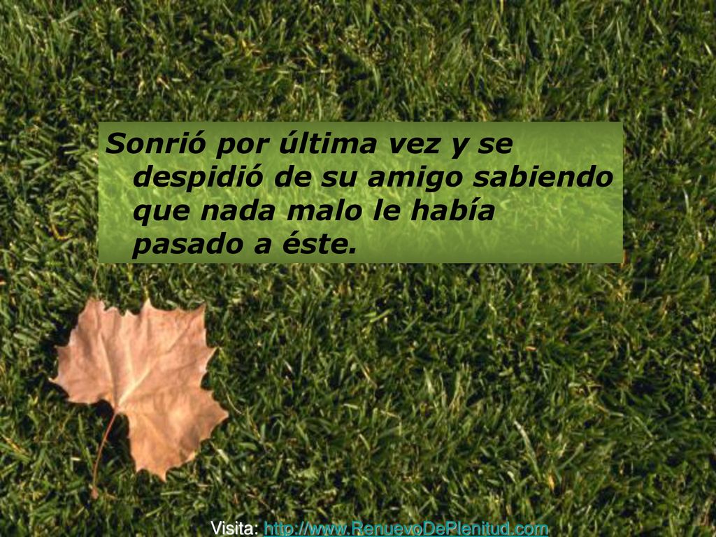 Sonrió por última vez y se despidió de su amigo sabiendo que nada malo le había pasado a éste.