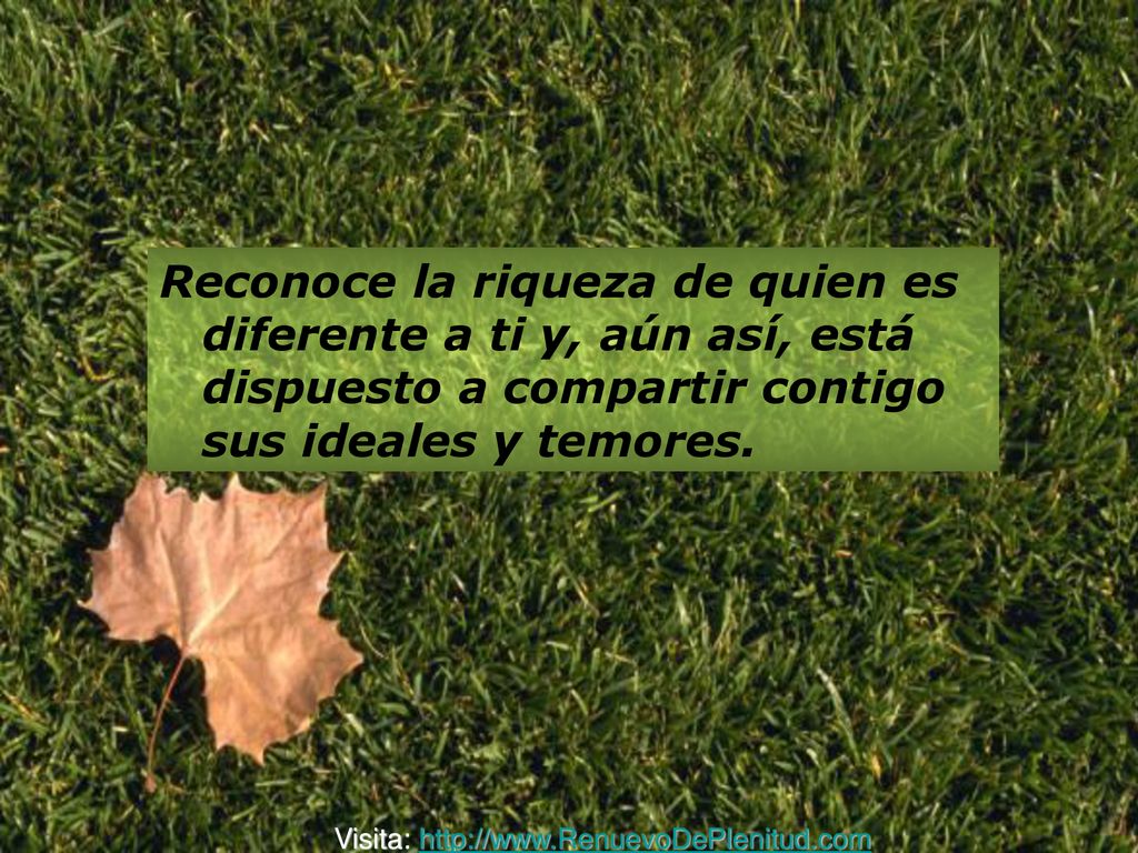 Reconoce la riqueza de quien es diferente a ti y, aún así, está dispuesto a compartir contigo sus ideales y temores.