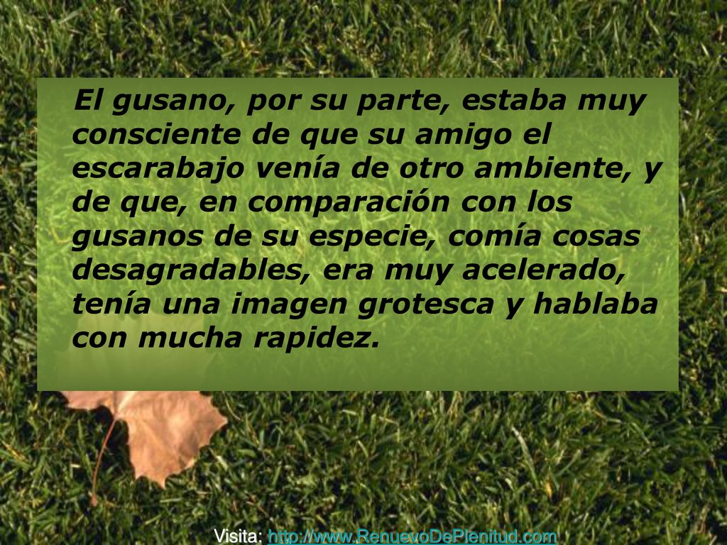 El gusano, por su parte, estaba muy consciente de que su amigo el escarabajo venía de otro ambiente, y de que, en comparación con los gusanos de su especie, comía cosas desagradables, era muy acelerado, tenía una imagen grotesca y hablaba con mucha rapidez.