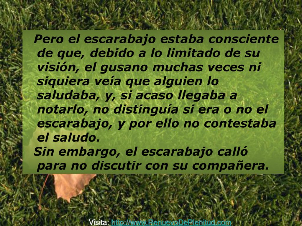 Sin embargo, el escarabajo calló para no discutir con su compañera.