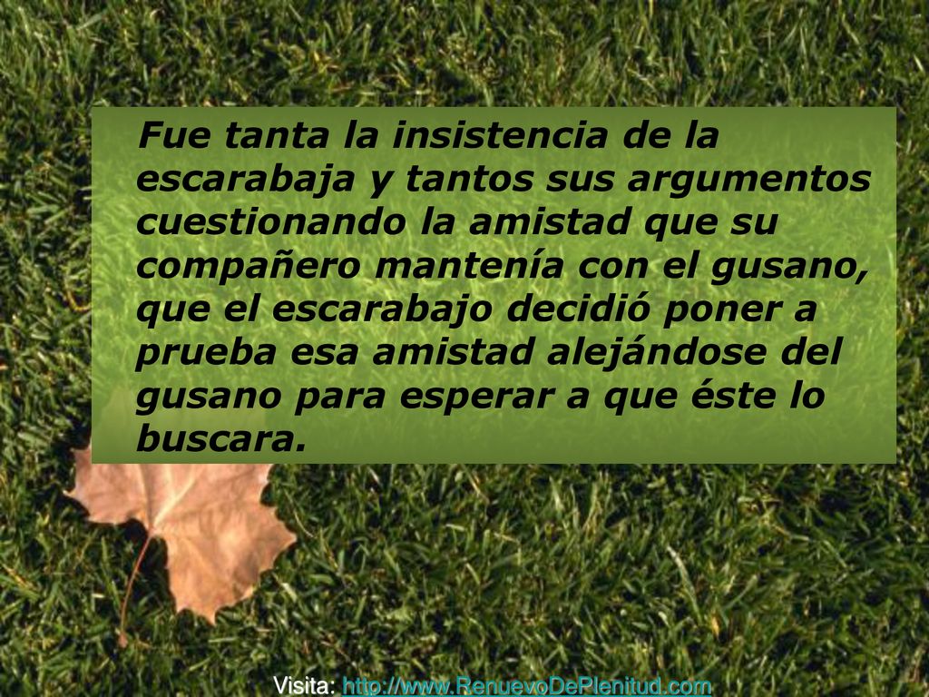 Fue tanta la insistencia de la escarabaja y tantos sus argumentos cuestionando la amistad que su compañero mantenía con el gusano, que el escarabajo decidió poner a prueba esa amistad alejándose del gusano para esperar a que éste lo buscara.