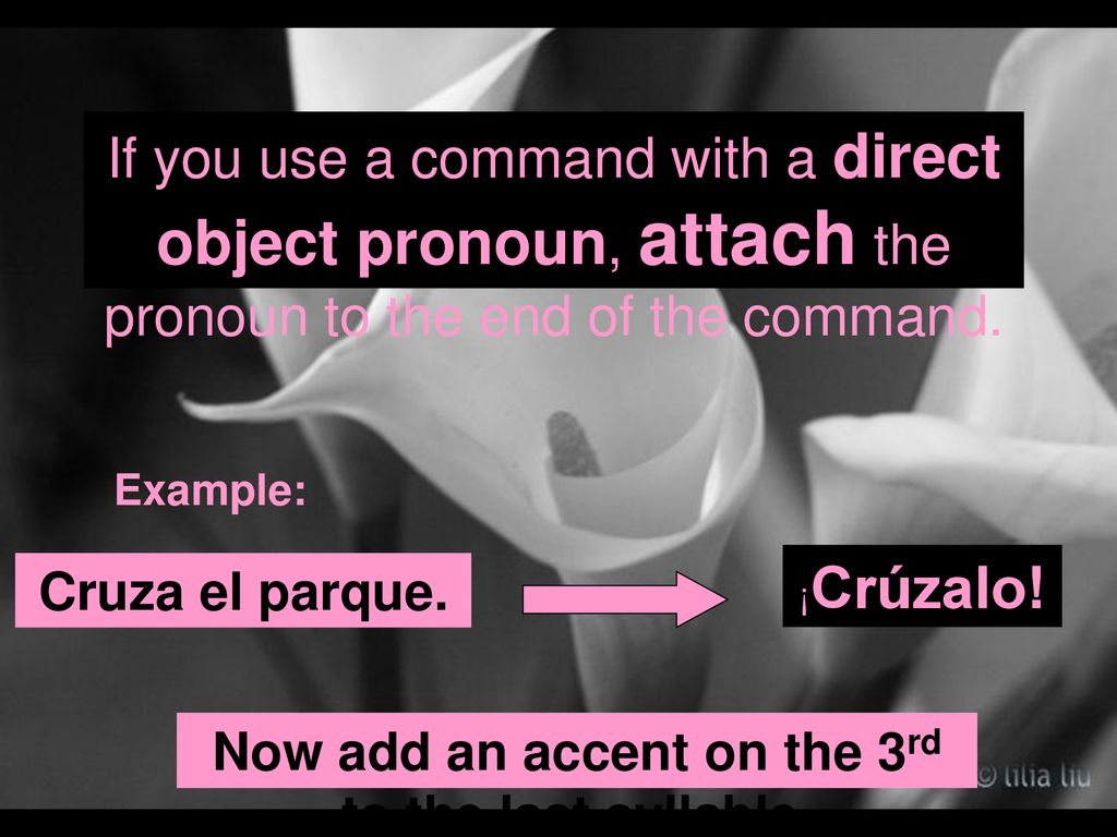 Now add an accent on the 3rd to the last syllable.