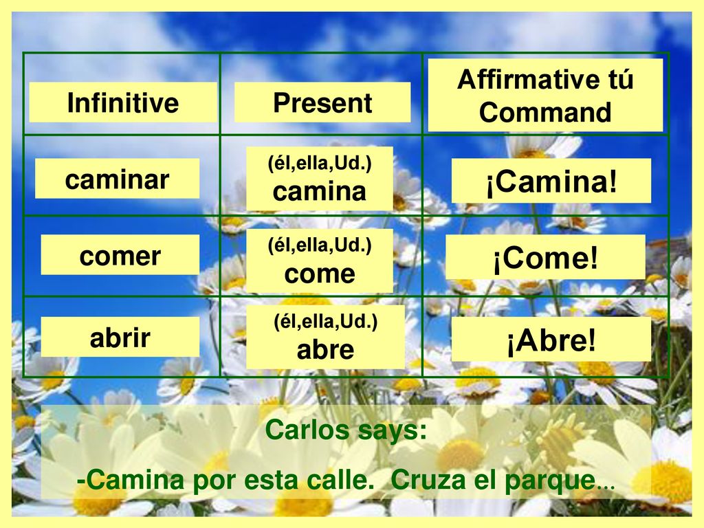 Affirmative tú Command -Camina por esta calle. Cruza el parque…