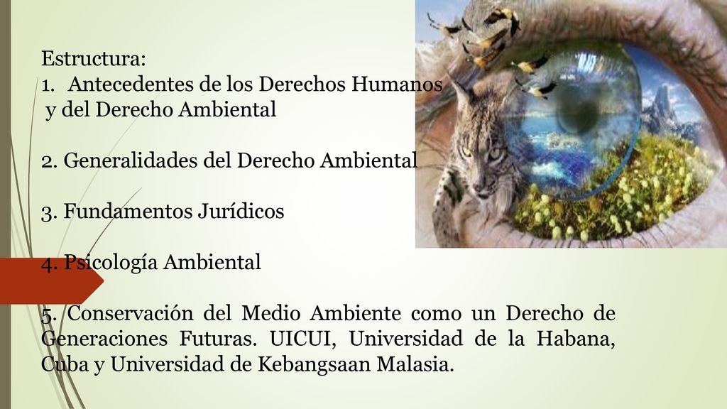 Estructura: Antecedentes de los Derechos Humanos. y del Derecho Ambiental. 2. Generalidades del Derecho Ambiental.
