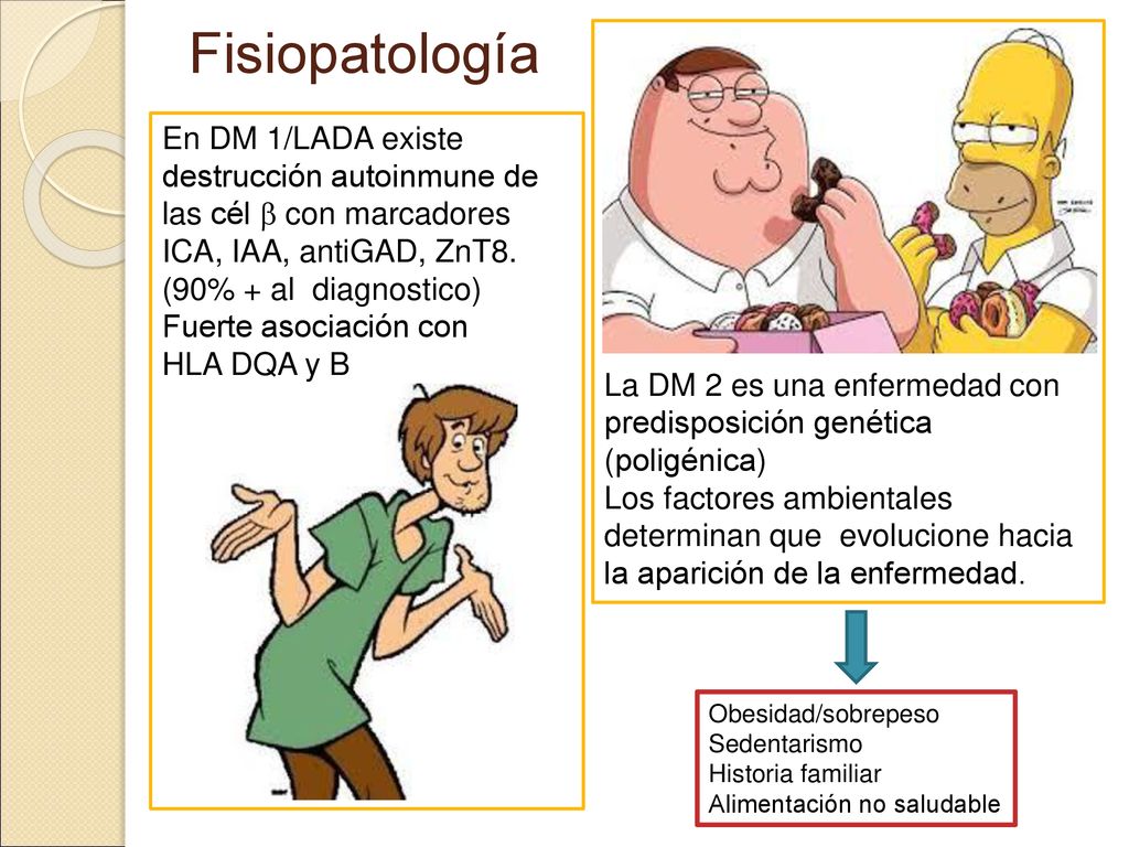 Fisiopatología La DM 2 es una enfermedad con predisposición genética (poligénica)
