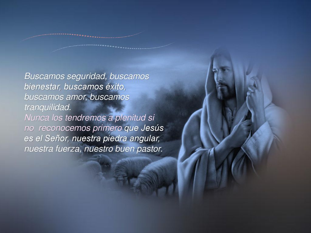 Buscamos seguridad, buscamos bienestar, buscamos éxito, buscamos amor, buscamos tranquilidad.