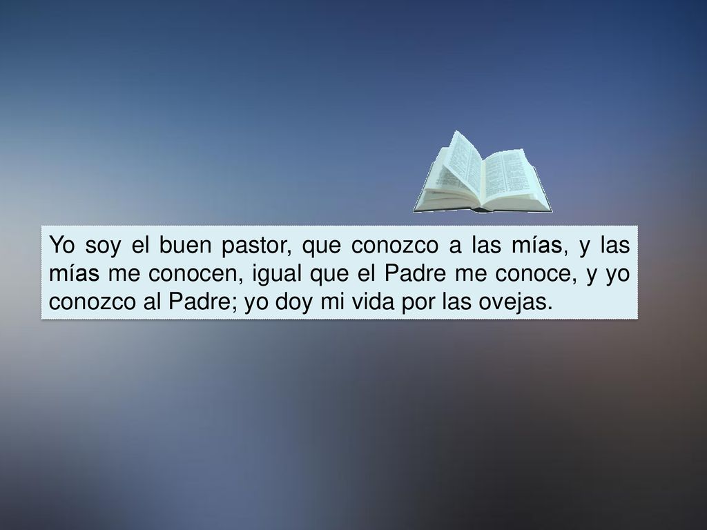 Yo soy el buen pastor, que conozco a las mías, y las mías me conocen, igual que el Padre me conoce, y yo conozco al Padre; yo doy mi vida por las ovejas.