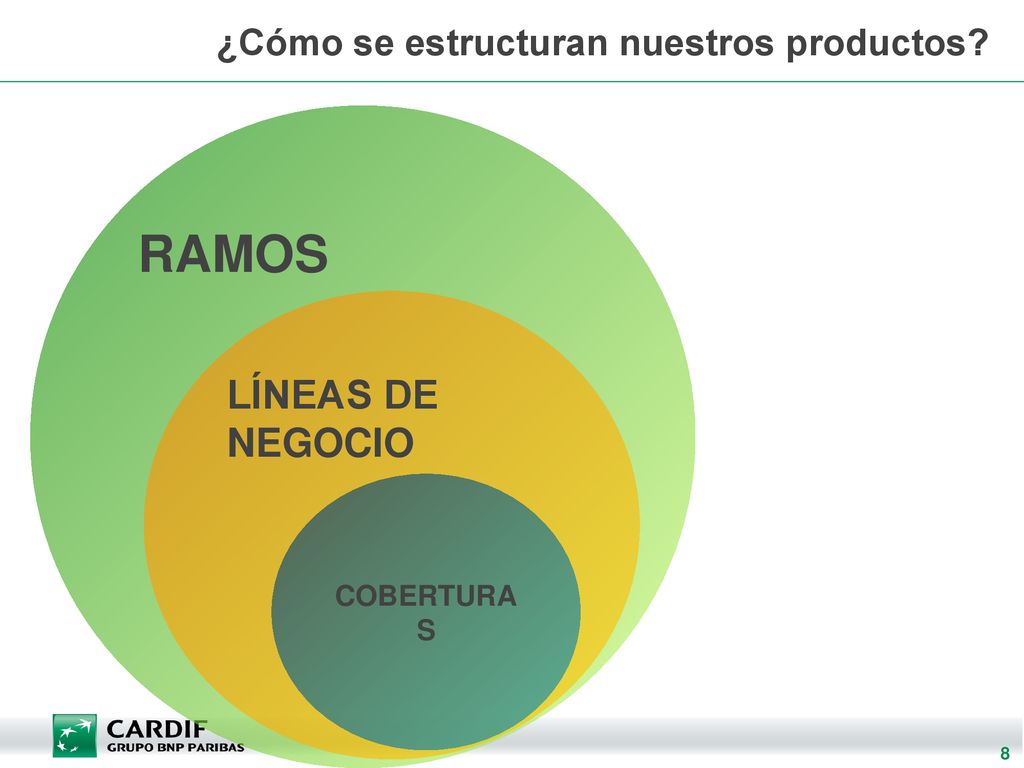 RAMOS LÍNEAS DE NEGOCIO ¿Cómo se estructuran nuestros productos