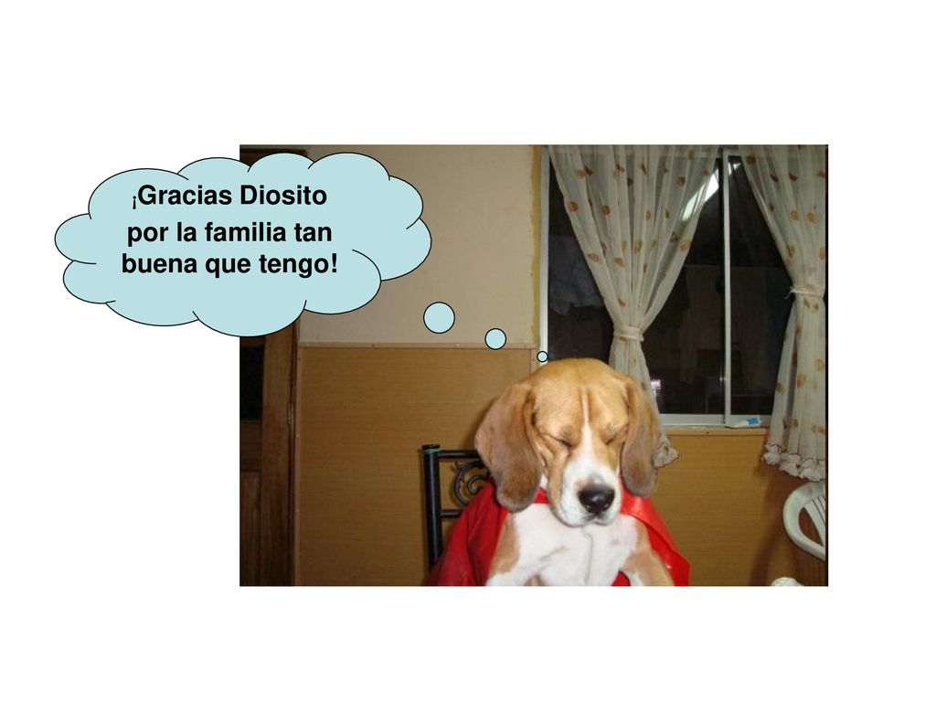 ¡Gracias Diosito por la familia tan buena que tengo!