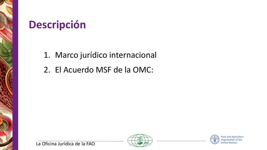 Descripción Marco jurídico internacional El Acuerdo MSF de la OMC: