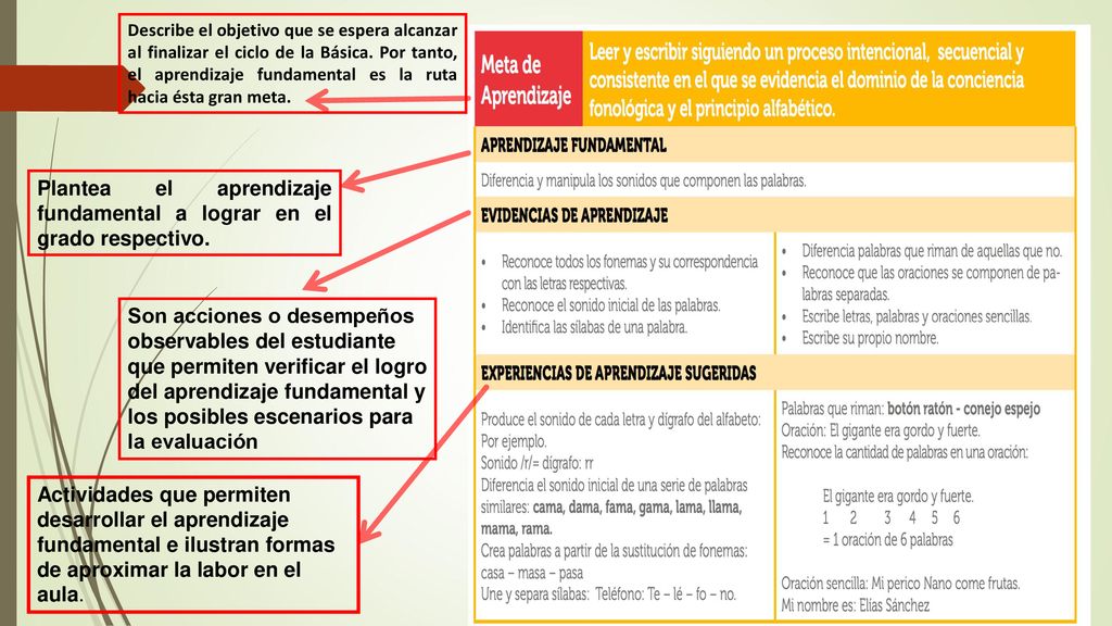 Plantea el aprendizaje fundamental a lograr en el grado respectivo.
