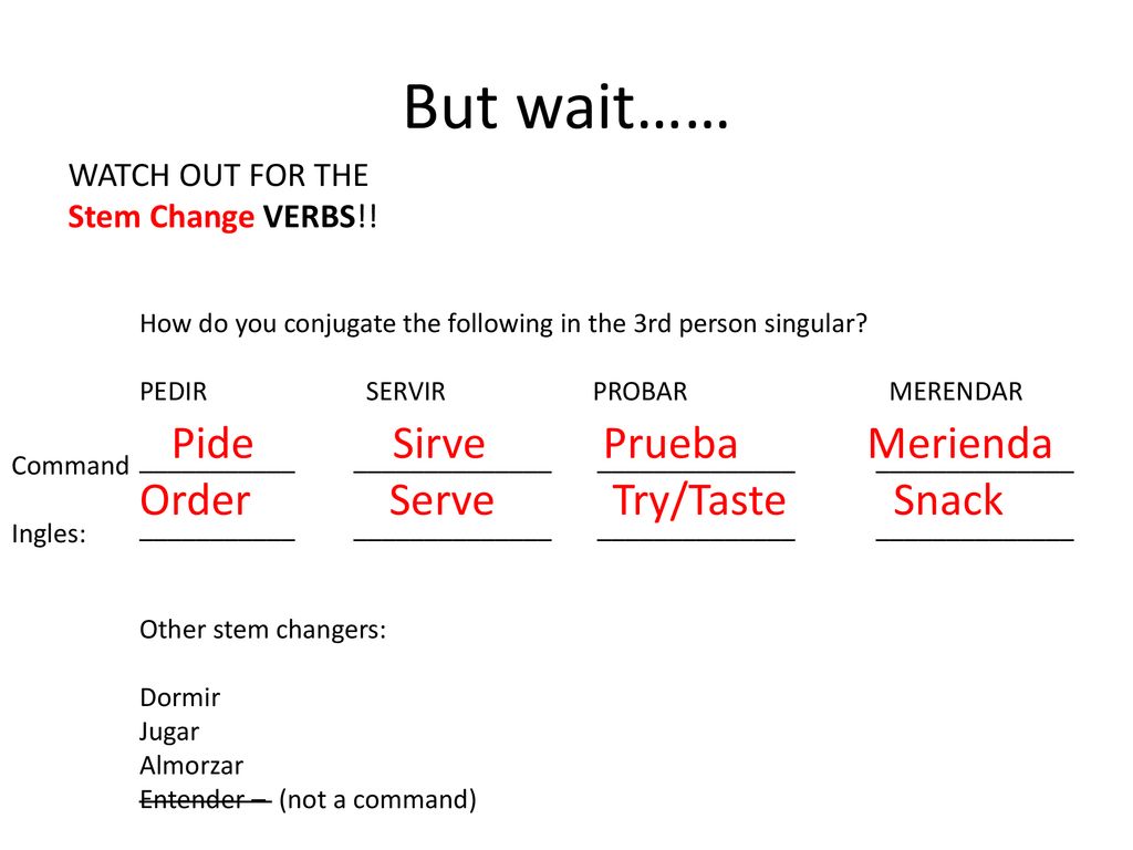 But wait…… Pide Sirve Prueba Merienda Order Serve Try/Taste Snack