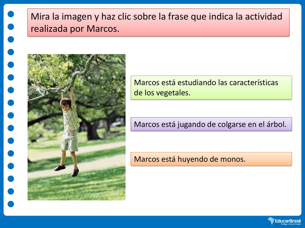 Mira la imagen y haz clic sobre la frase que indica la actividad realizada por Marcos.