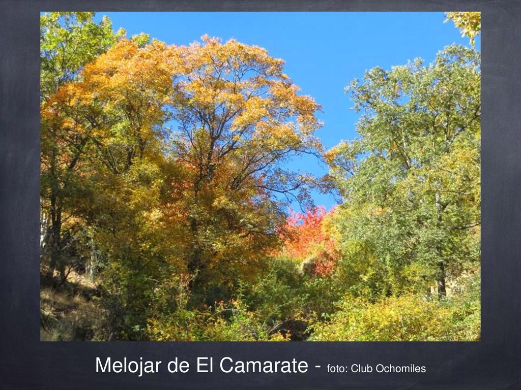 Melojar de El Camarate - foto: Club Ochomiles