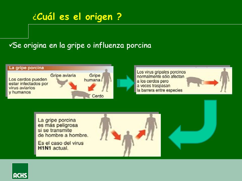 ¿Cuál es el origen Se origina en la gripe o influenza porcina