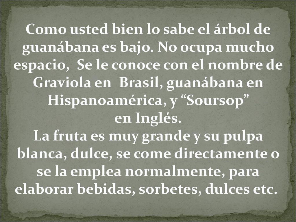 Como usted bien lo sabe el árbol de guanábana es bajo