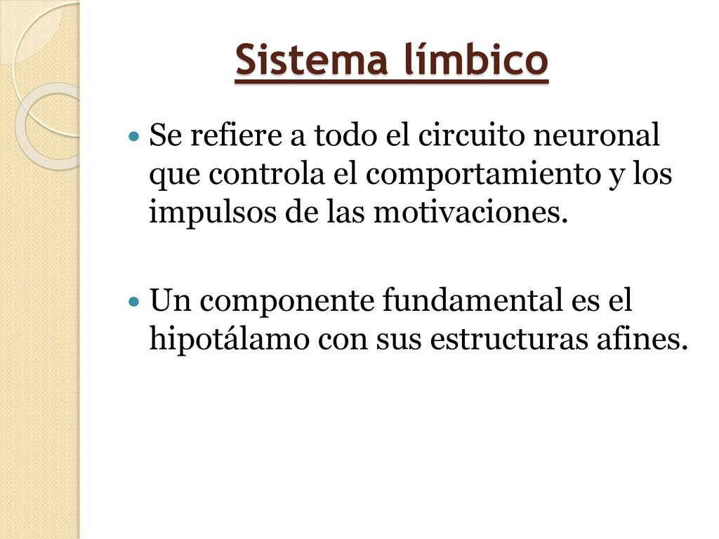 Sistema límbico Se refiere a todo el circuito neuronal que controla el comportamiento y los impulsos de las motivaciones.