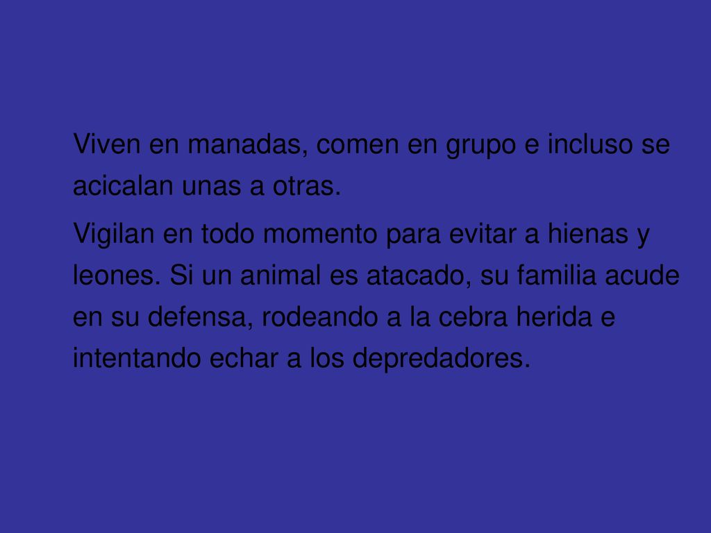 Viven en manadas, comen en grupo e incluso se acicalan unas a otras.