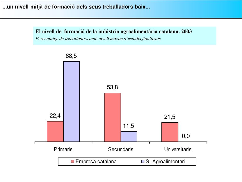 ...un nivell mitjà de formació dels seus treballadors baix...
