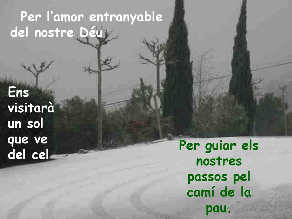 Per guiar els nostres passos pel camí de la pau.